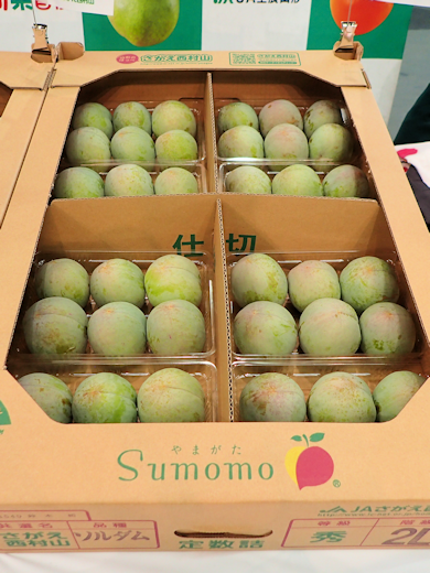 大江町・JAさがえ西村山『すもも』トップセールス - 東京青果株式会社