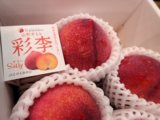 大江町・JAさがえ西村山『すもも』トップセールス - 東京青果株式会社