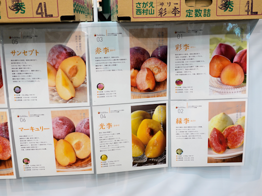 大江町・JAさがえ西村山『すもも』トップセールス 2025 - 東京青果株式会社