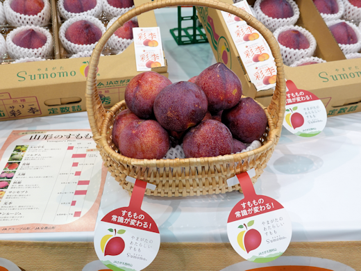 大江町・JAさがえ西村山『すもも』トップセールス 2025 - 東京青果株式会社