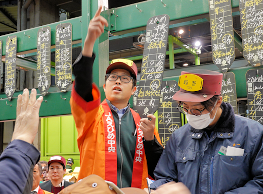 2025年度 松山農林水産物ブランド『紅まどんな』トップセールス - 東京