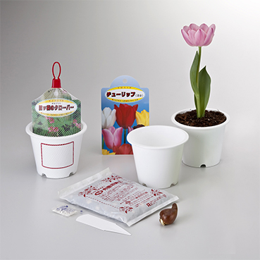 東京優芳園｜デラックス栽培球根セットL