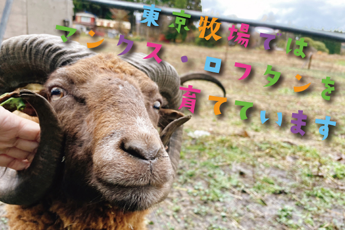 マンクス・ロフタン - 東京牧場株式会社