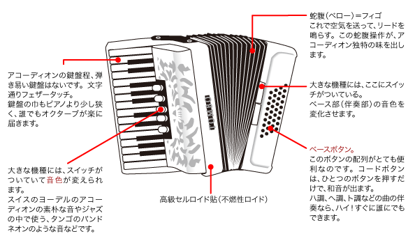 アコーディオン入門 | 株式会社トンボ楽器製作所