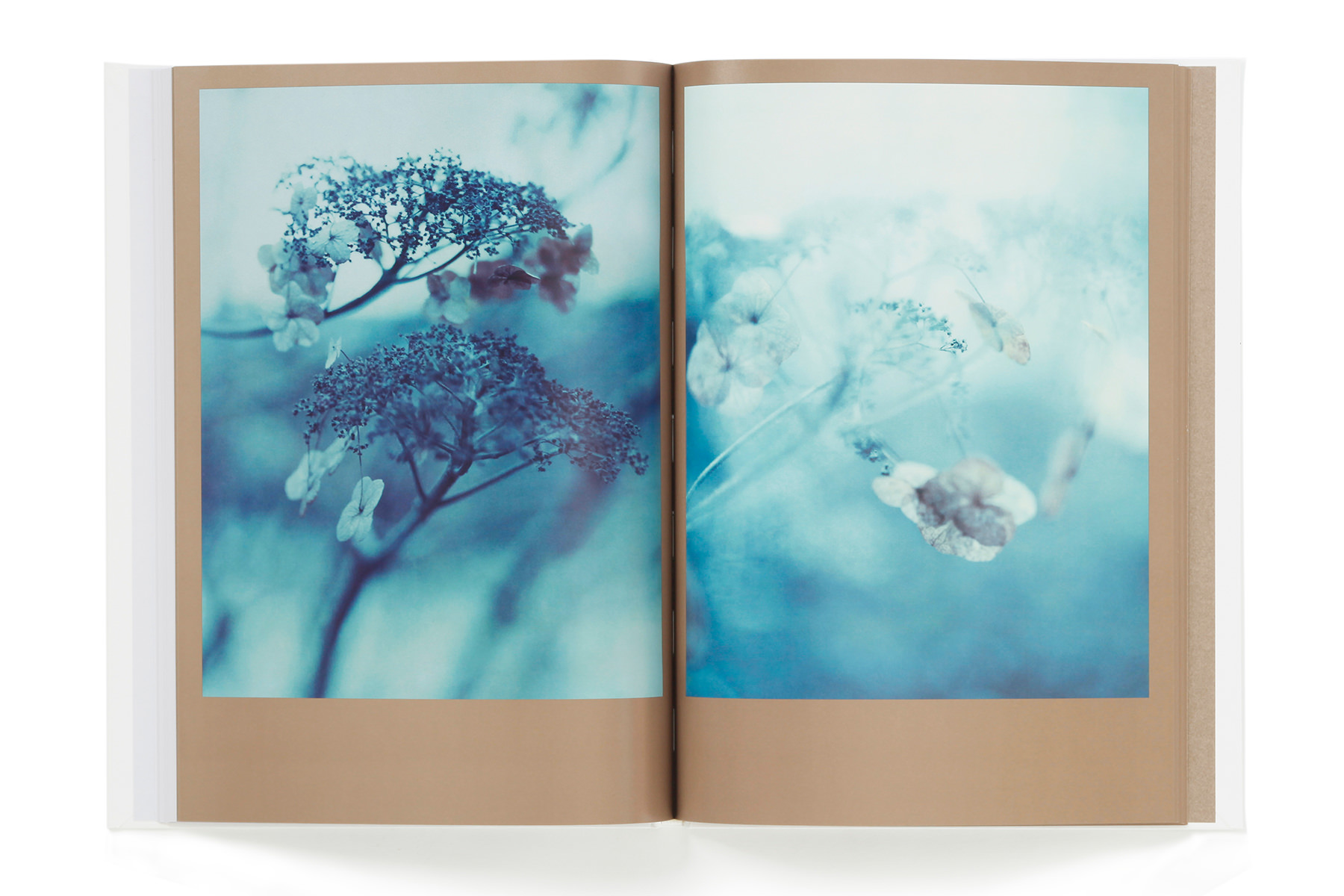 The Civil Dawns – torch press