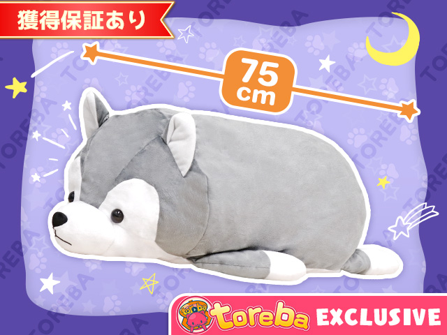 トレバ限定】シベリアンハスキーくったりごろ寝BIGぬいぐるみ」登場