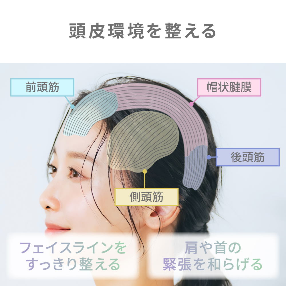 アイビル スカルプブラシ - トリコインダストリーズ