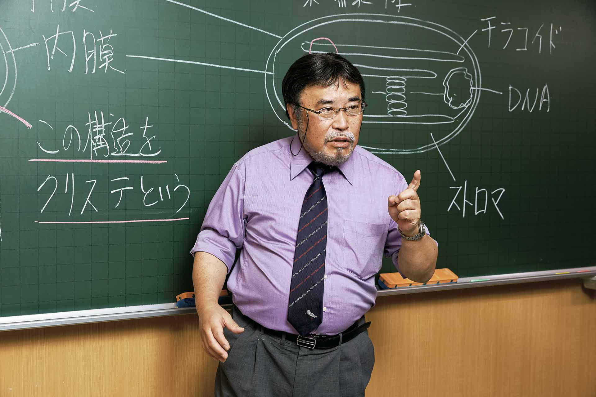 生物】田部眞哉 | 東進衛星予備校 東岡山校・岡山瀬戸校