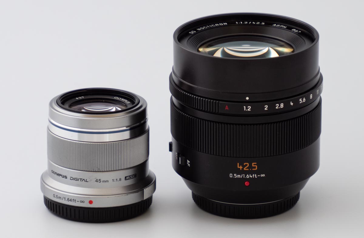 中望遠撒き餌レンズ M.ZUIKO DIGITAL 45mm F1.8 レビュー【マイクロ