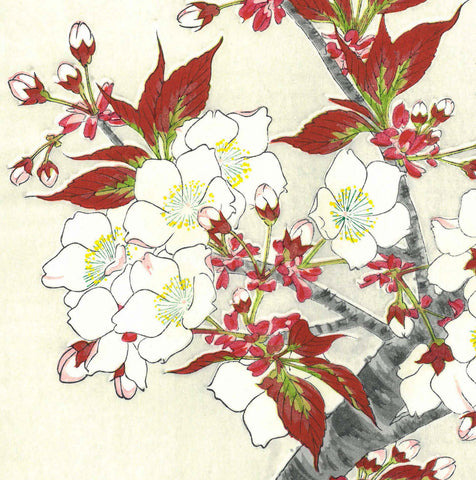 Kawarazaki Shodo - F016 Sakura (Cherry Blossoms) - Free Shipping
