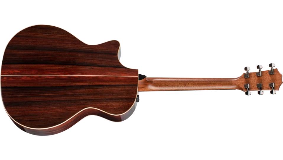 814ce Indian Rosewood Acoustic-Electric Guitar | Taylor Guitars
