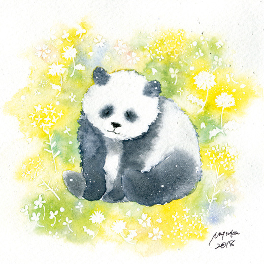 Panda (garden)Panda (garden)|村田夏佳Natsuka Murata