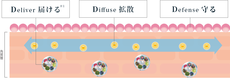 2月よりどり割対象商品】エステファクト 3DパーフェクタージェルEX