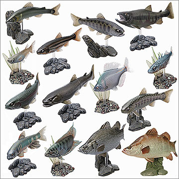 原色淡水魚図鑑Ⅰ 改訂版｜商品情報｜タカラトミーアーツ