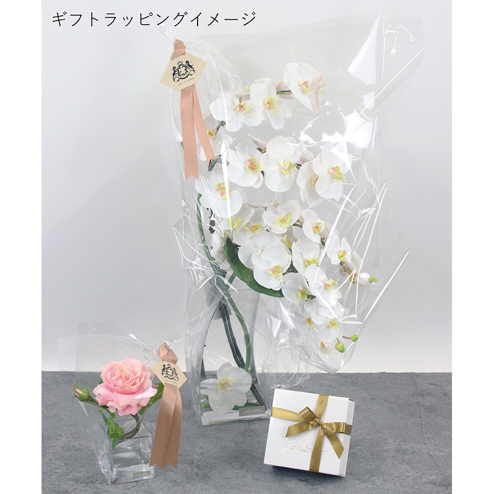 カサブランカ 5L | 商品詳細 | 高島屋オンラインストア