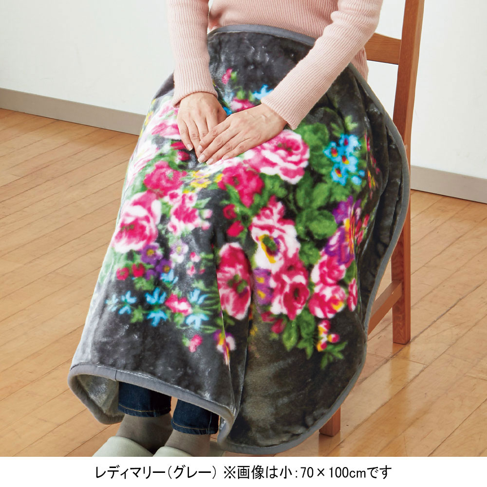 ◇ブランケット大小同柄2枚セット | 商品詳細 | 高島屋オンラインストア