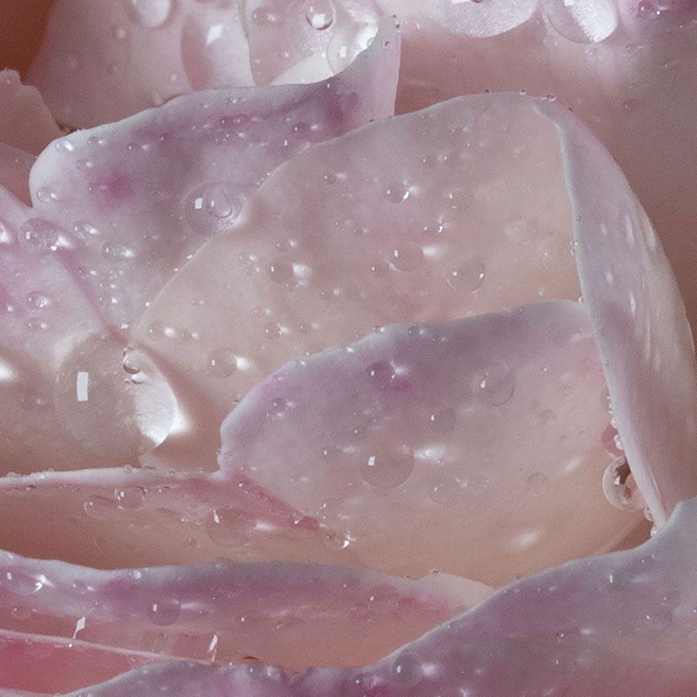 Maison Francis Kurkdjian（メゾン フランシス クルジャン） ロー ア