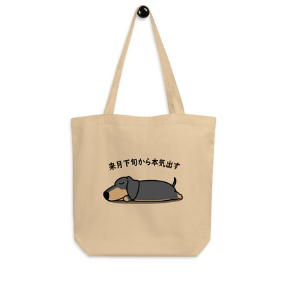 d1.png?v=1737420380&width=416