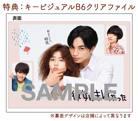 彼女はキレイだった」Blu-ray&DVD-BOX特設サイト