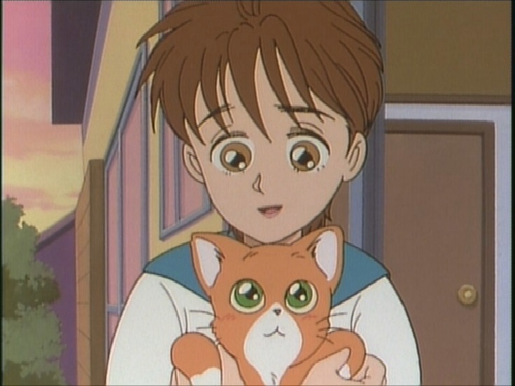 みかん絵日記 DVD-BOX デジタルリマスター版 | TCエンタテインメント