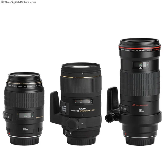 Canon EF 180mm f/3.5L USM Macro Lens Review