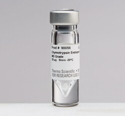 Mass Spectrometry Grade Proteases 4 x 25 μL | Contact Us | Thermo