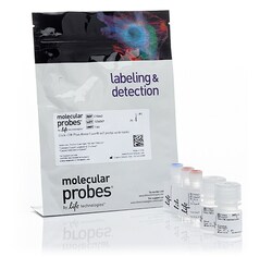 Click-iT™ Plus Alexa Fluor™ 647 Picolyl Azide Toolkit 1キット