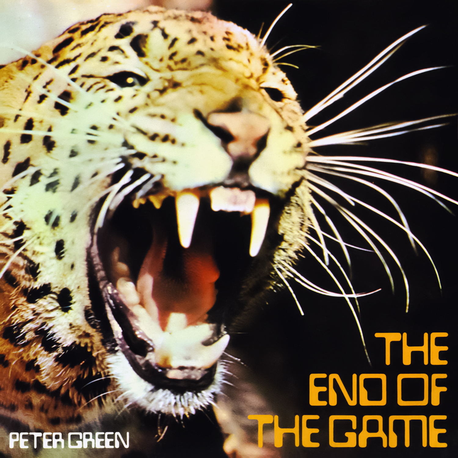 Graded on a Curve: Peter Green, The End of the Game