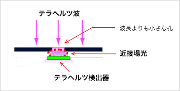 未開の電磁波「テラヘルツ波」のポテンシャルを引き出し、実用化へと