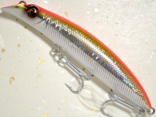 エバーグリーン トゥルーラウンド94F：＃717 セグロオレンジベリー