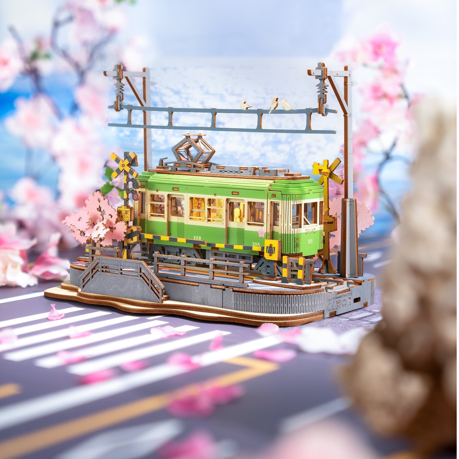 TGS02 桜さく電車