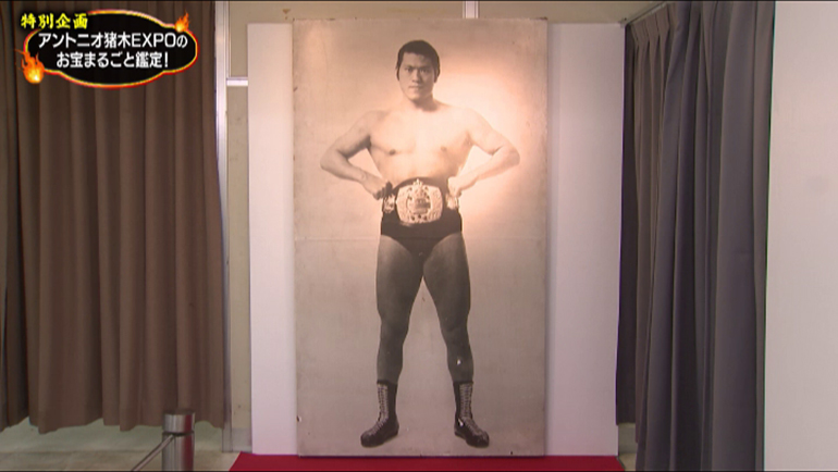 アントニオ猪木が引退試合で着用したガウン｜開運！なんでも鑑定団