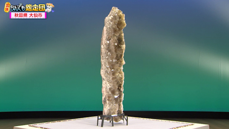 藤田嗣治の油絵｜開運！なんでも鑑定団｜テレビ東京