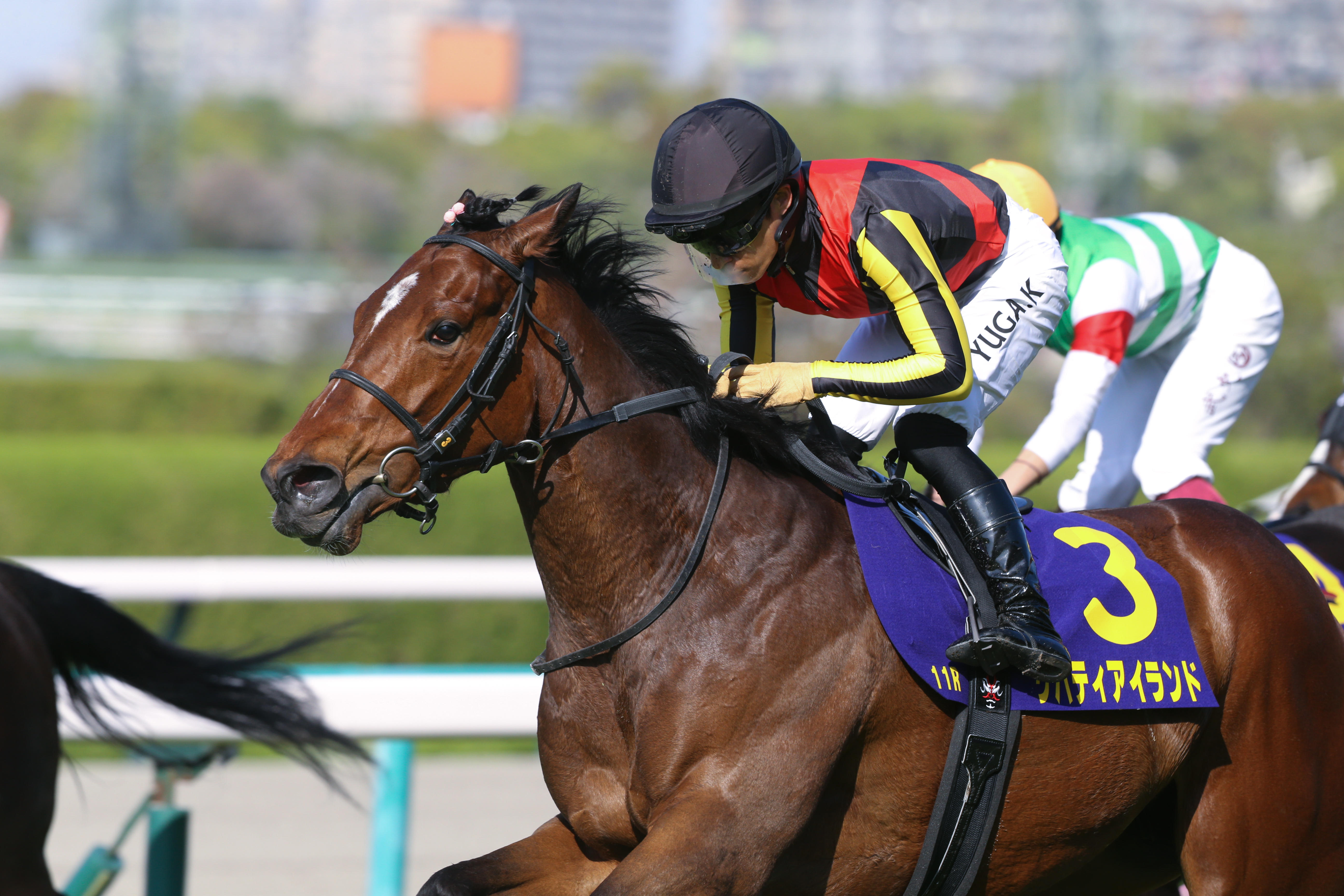 オークス みどころ】リバティアイランドさらなる飛躍へ 樫の舞台で待っ