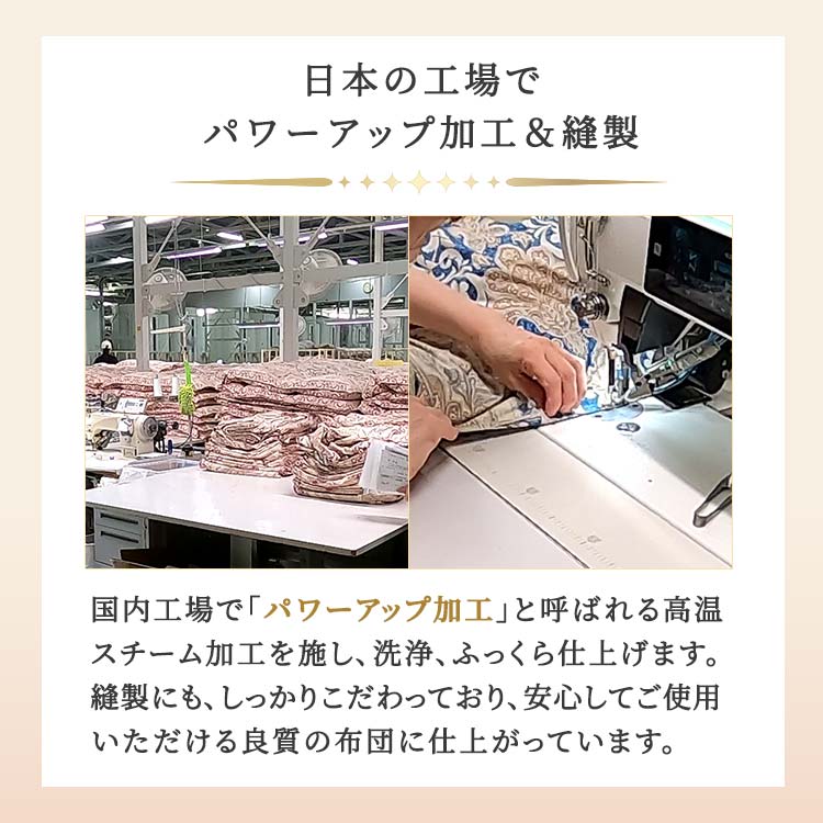 ダブル】ポーランド産マザーグース6つ星羽毛掛け布団｜テレ東マート
