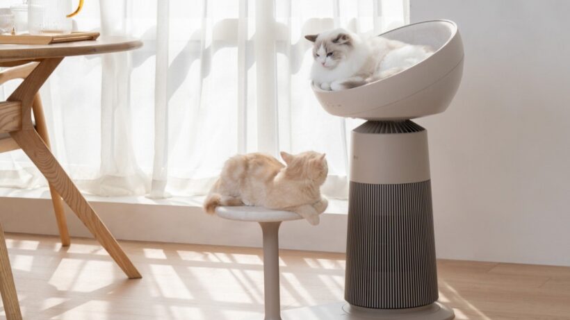 LG's air purifying cat bed is one of the weirdest gadgets from CES