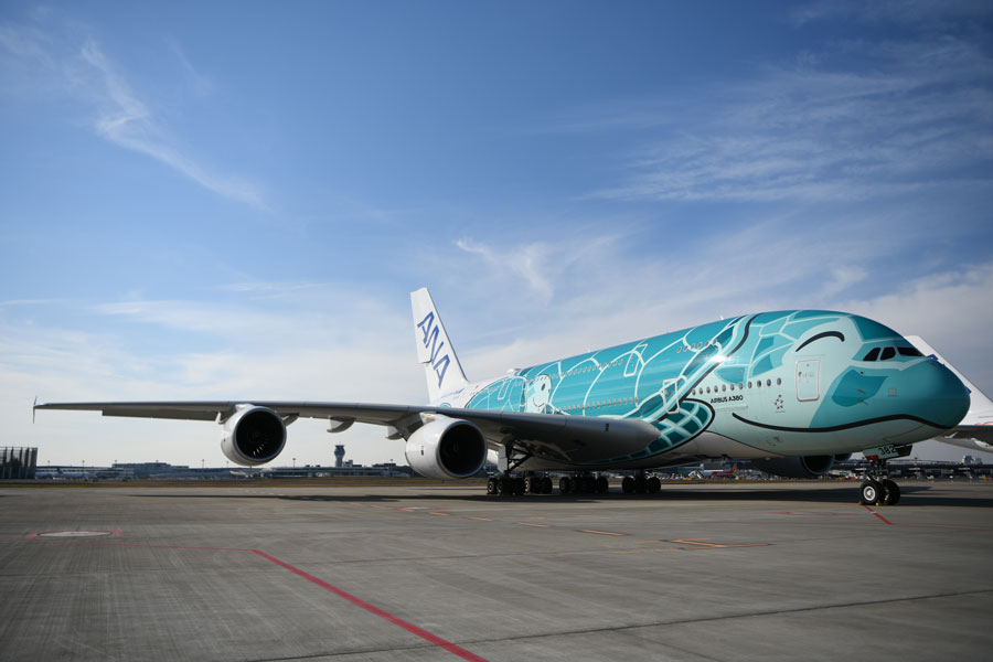 公認サンタと過ごす”ホヌ”チャーター、1時間限定で先着販売 12月25日発