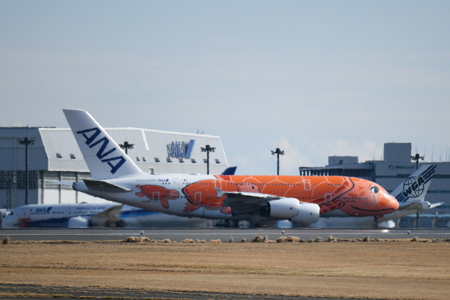 ANA、エアバスA380型機「ホヌ」3号機の整備フライトを初実施 約2時間