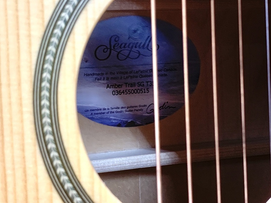 Seagull(シーガル）のエレアコAmber Trail SG T35が買取入荷しました