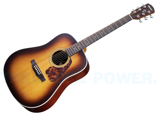 MORRIS＊ モーリス M-401/TS Acoustic Guitar アコースティックギター