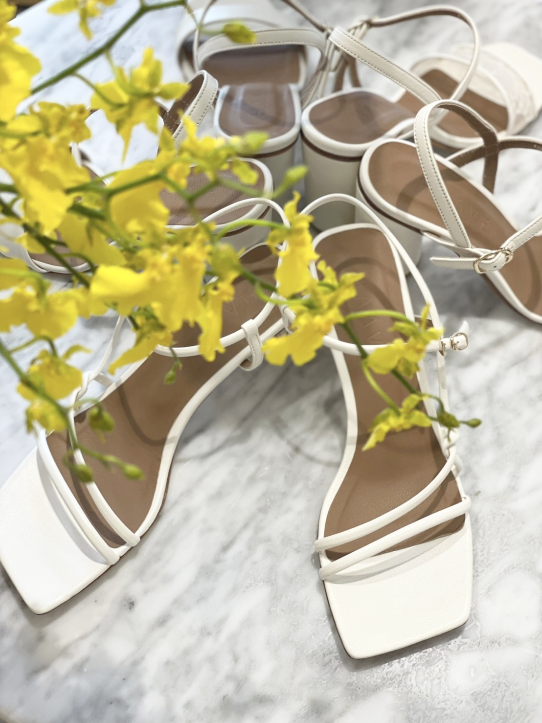 HAAVE（ハーヴェ）～新作ウェディングシューズのご紹介～ - TREAT