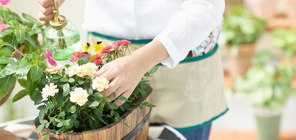 楽しい園芸通信教育講座｜資格取得なら生涯学習のユーキャン