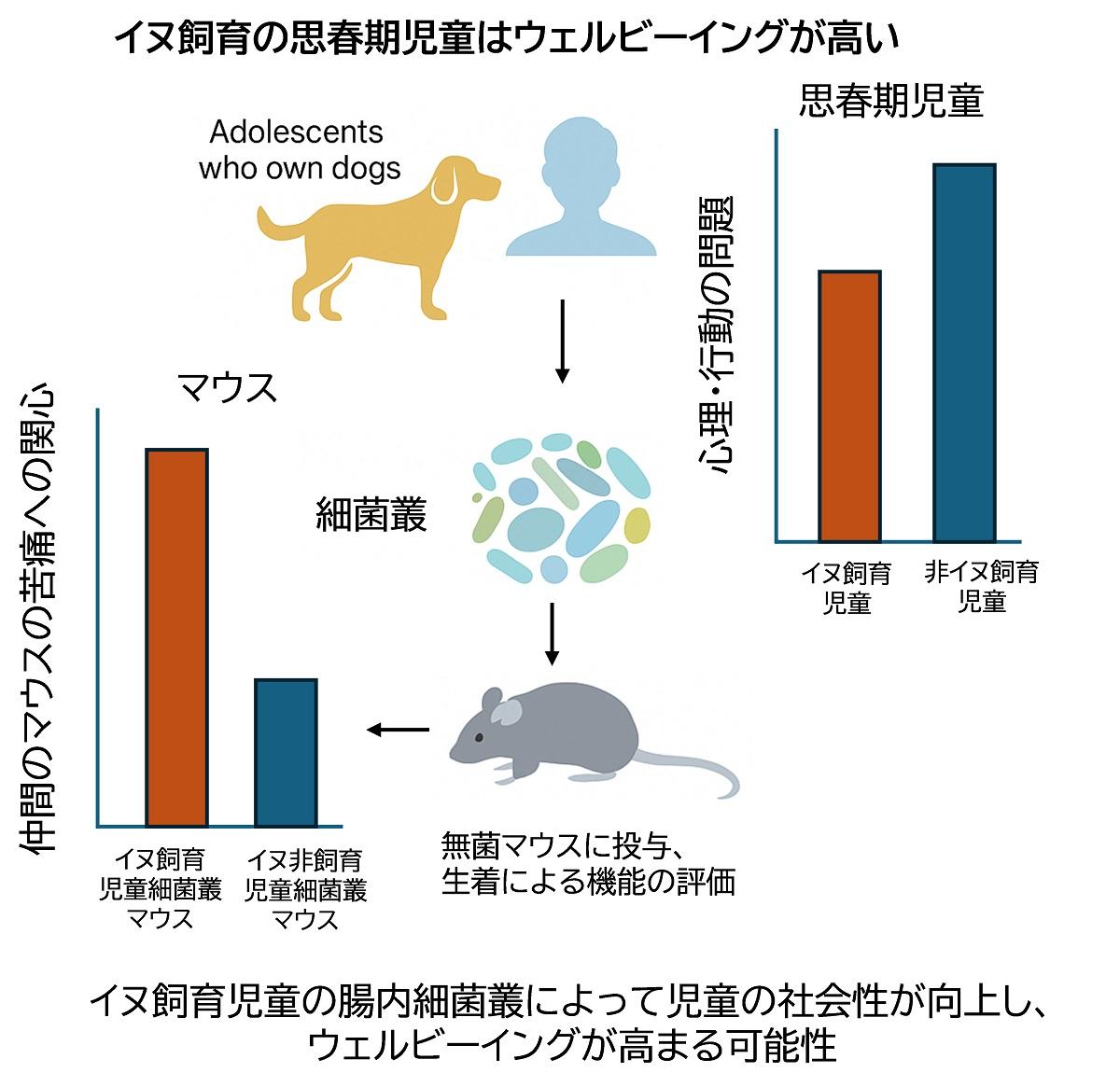 麻布大学、北里大学、日本獣医生命科学大学が獣医学・動物生命科学に