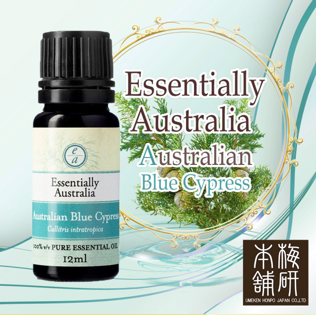 アロマオイル ブルーサイプレス 12ml エッセンシャルオイル 天然 精油