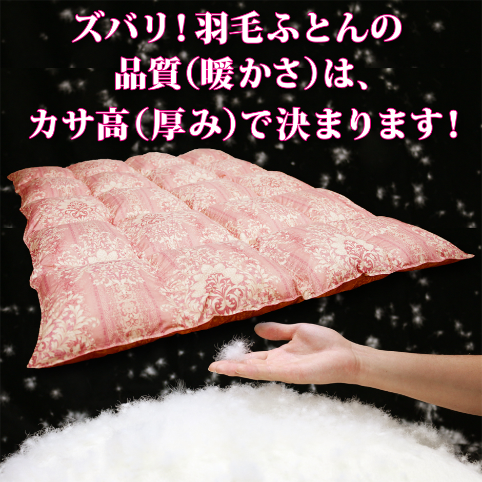 羽毛布団シングル｜製造直販の通販｜いい寝【