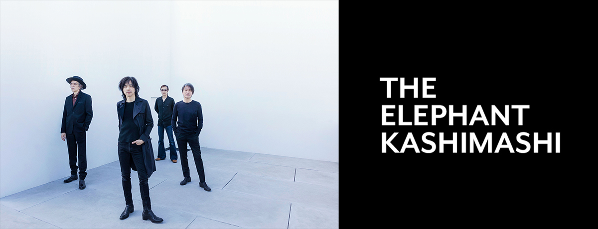 新春ライブ2019日本武道館 [DVD初回限定盤][DVD] - エレファント