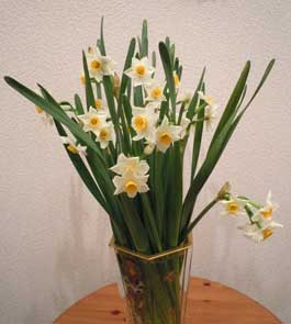 水仙② | 植木刺繍｜花の刺繍画