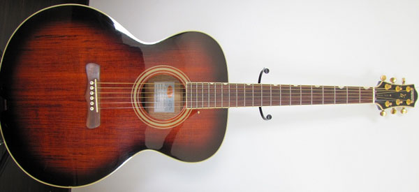 G3100 Hawaiian Review: I have been playing for 6 months, and I own