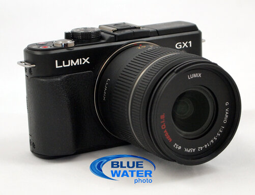 First Impressions: Panasonic GX1 Mirrorless Camera - Underwater