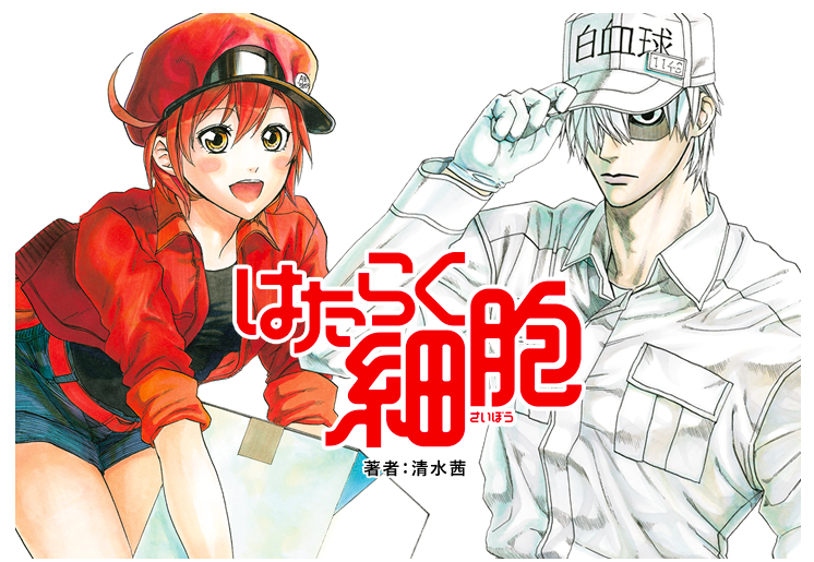 はたらく細胞 第1話『肺炎球菌』感想 キャスト声優陣最高 | アニライ